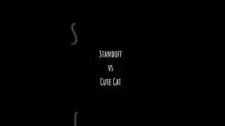 So2 vs Cute cat. Кто лучше? Стандофф2 против милого котика! (Создал сам)