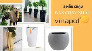 Top 5 sản phẩm chậu b&aacute;n chạy nhất tại Vinapot