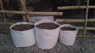 Waste Katte Se Garden Bana Diya 🌿 | Vertical Gardening