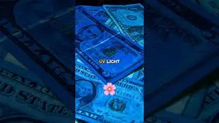 Secret UV Features on U$ Dollar Bills ‼️💸🕵️ #dollar #money #trending #viral #fyp #english #usa