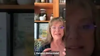 Herbal Tea Challenge Day Two: The Tastes of Herbs and Their Health Benefits
