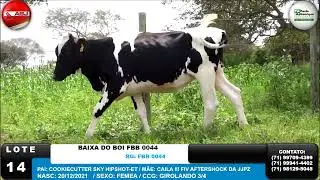 LOTE 14 FBB 044