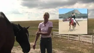 Horses: Building Healthy Hooves using EquiPride at Cloverleaf Farms