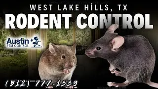 West Lake Hills, Texas Rodent Control Services (512) 777-1339