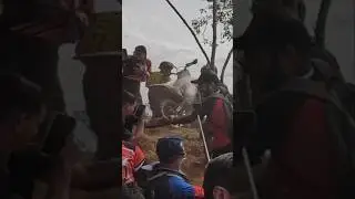 Essa deve ter doido