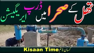 Drip irrigation system in Pakistan Installation Drip irrigation working model drip irigation project