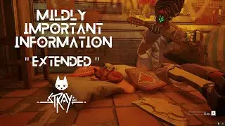 Mildly Important Information | Extended version | Stray OST