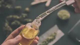 Georgia approves regulation, license for two medical marijuana businesses