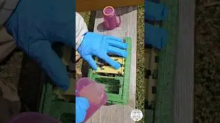 How to Make a Mini Mating Nuc for Queen Rearing | Step-by-Step Beekeeping Tutorial 🐝👑 #bee #queen
