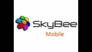 Skybee 80MB On Off