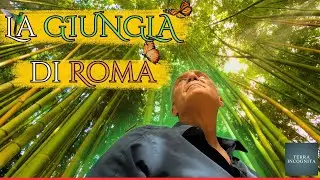 L’Orto Botanico di Roma: Una Foresta nel Cuore di Trastevere | Storie di Roma