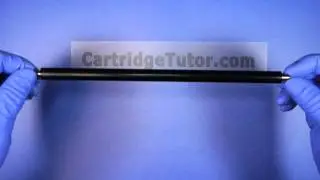 PCR