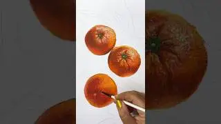 Drawing oranges with acrylics ✨ #art #draw #shorts #acrylicpainting #orange #howtodraw
