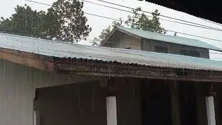 Hujan di Hari Minggu, tarik selimut dulu #rain #rainoundforsleep #hujan #nature #rainsounds
