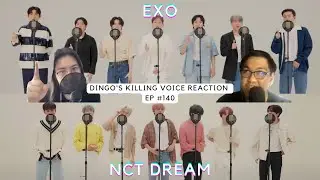 Back to Back Killing Vocals! EXO and NCT Dream Dingo Killing Voice Reaction | Stan Up Ep 140