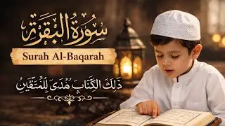 Surah Al-Baqarah | Complete Quran Recitation | Protection & Blessings 🤍