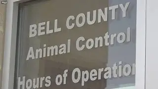 Bell County commissioners spar over animal services staffing and safety concerns