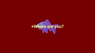 The holy hole(short movie)