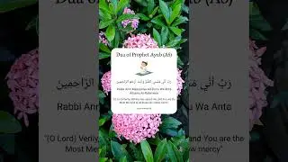 Dua of Prophet Ayub (AS) 🤲❤