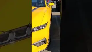 #Mustang #Sally #Star #Ford #Dealer #Prices #Market #Addon #Music #GT #Performance #Short 🧖&zwj;♂️👍🏎🏁🚩