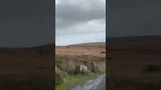 Dublin mountains#shortsfeed #travel