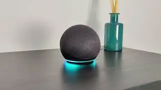 Amazon Echo Dot - App e Idioma