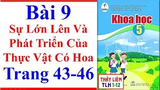 Khoa Học Lớp 5 Bài 9 | Sự Lớn Lên Và Phát Triển Của Thực Vật Có Hoa | Trang 43 – 46 | Cánh Diều