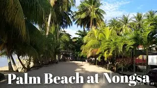 The Beauty of Palm Beach at Nongsa Beach | Batam Traveling | Jalan Jalan Batam | Nongsa Kampung