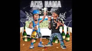 Alta Gama remix