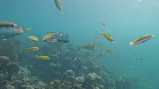 Holguin North - Playa Esmeralda, Guardalavaca, CUBA 9