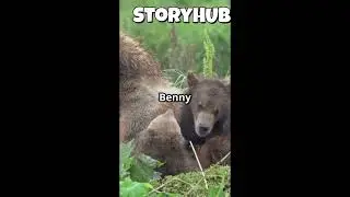 Benny The Brave Bear