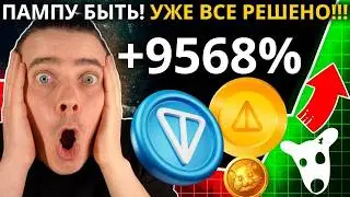 ⚠️THEY PLAN TO PUMP AND GROW BY 9578% 🟢 DOGS, NOTCOIN, HMSTR, TONCOIN, STICKERS, GIFTS!