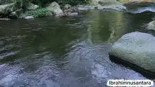 Enjoy the sound of flowing water for concentration in working, sleeping and enjoying the tranquility