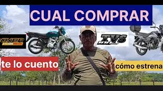 BOXER 100 o TVS 100 CUAL ES MEJOR 