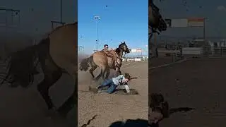 #nsca #omoksee #horse #rodeo #westernmedia #western #westernriding #aqha #youtubeshorts #subscribe