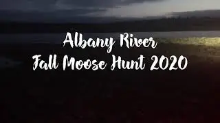 Albany River Fall Moose Hunt 2020