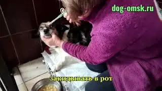 Новости от МАЙЛЫ