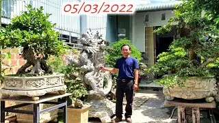 Tùy Hưu Vạn Lộc/BonSai Nghệ Thuật Rất Nhiều Tác Phẩm Tại Vườn Vương/Tuy Phước Bình Định.Lh0987147417