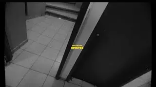 ZG - Outils (Clip officiel)