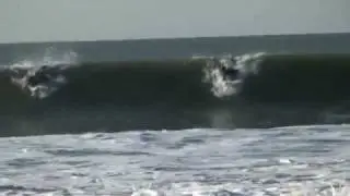 surfing le gurp