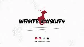 Infinite Visibility: The Ultimate Sanctuary for S-Rank Anime Lifestyle