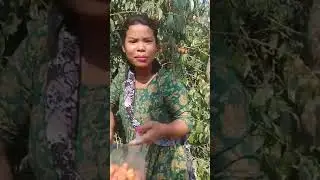 sokua sila