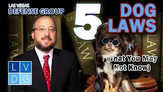 5 Nevada dog laws you may not have known existed