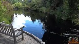 Исследование ботанического сада Денвера