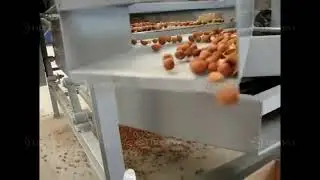 High-quality Macadamia Almond Production Line Nut Primary Processing Machine