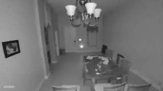Un chat d&eacute;clenche l'alarme de la maison au milieu de la nuit