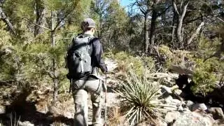 Crest Trail/ Faulty Trail loop hike - The Sandia Mountains New Mexico