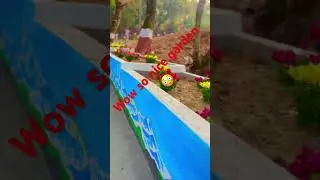 Nice garden in shivpuri national park#love #trending #fruit #future #flowers #garden #shootingspot