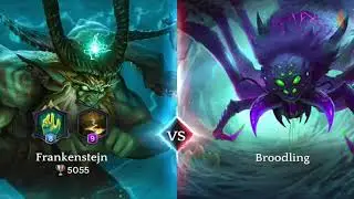 Terrin Rhii Spider Event LVL 59