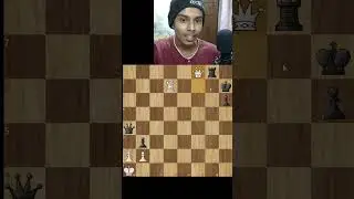 Easy queen sac puzzle !!